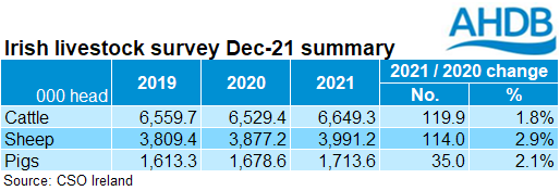 Table showing summary data of Irish population of cattle, sheep and pigs at Dec 2019-2021